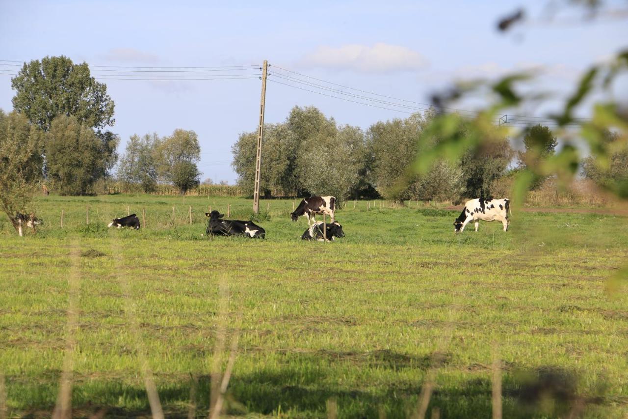 Nowy Dwór Gdański Agroturystyka Zulawiaczek מראה חיצוני תמונה