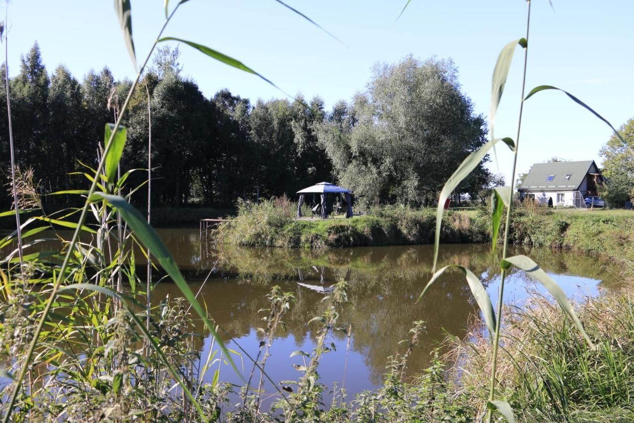 Nowy Dwór Gdański Agroturystyka Zulawiaczek מראה חיצוני תמונה