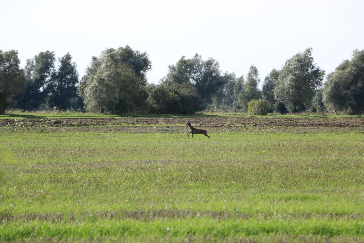 Nowy Dwór Gdański Agroturystyka Zulawiaczek מראה חיצוני תמונה