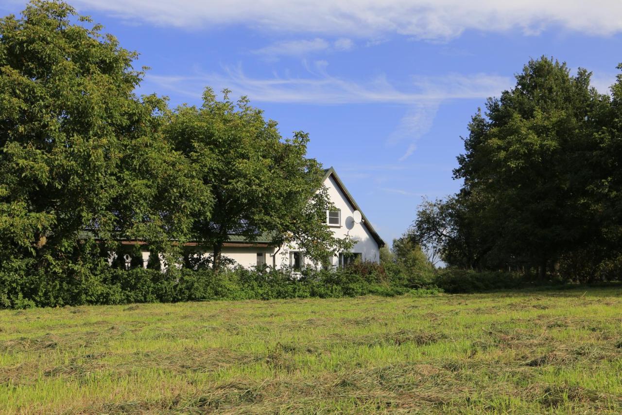 Nowy Dwór Gdański Agroturystyka Zulawiaczek מראה חיצוני תמונה